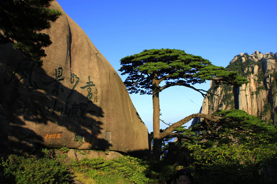 黃山