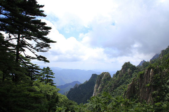 黃山