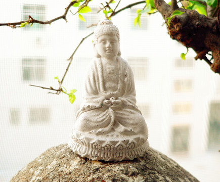 佛像 綠葉