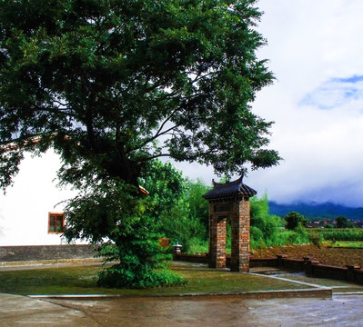 鄉(xiāng)村小景