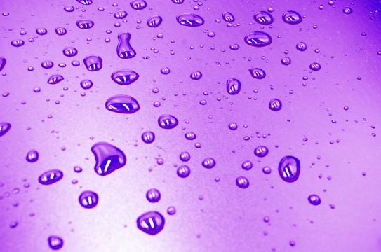 水滴水珠 紫色背景