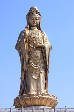 觀世音 普陀 舟山 南海觀音