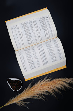 讀書