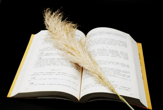 讀書