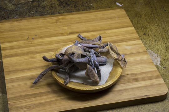 藥用中藥地龍