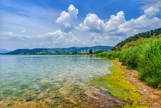 撫仙湖 湖畔