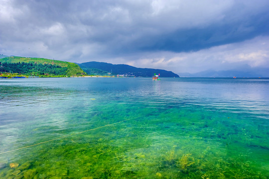 撫仙湖 湖面