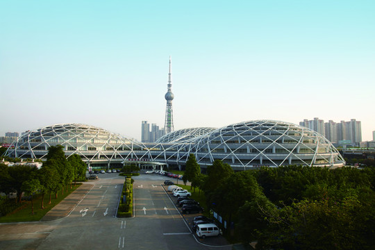嶺南明珠