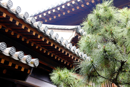 寶山寺
