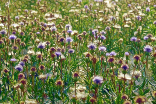 抽象花草