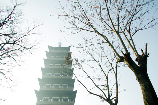 揚(yáng)州