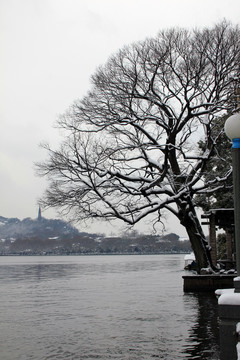 西湖雪