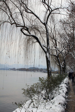 西湖雪