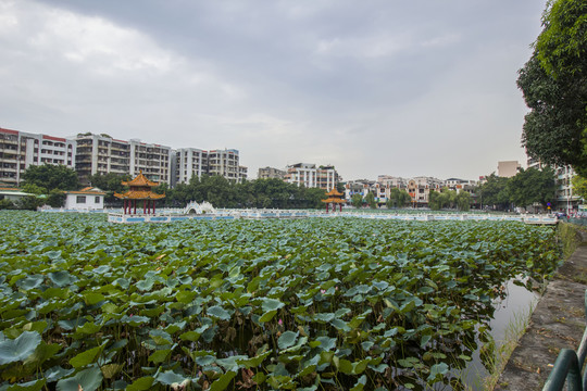 廣東省肇慶市寶月公園