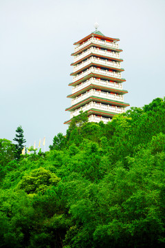 仙姑 寶塔 家廟