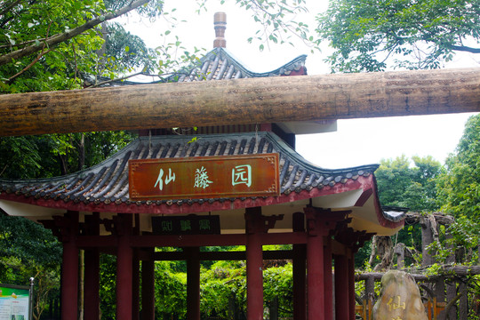 休閑亭 遮陽亭 涼亭