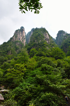 黃山