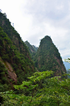 黃山