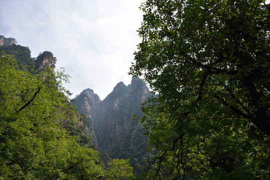 黃山