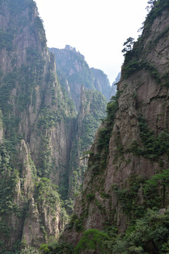 黃山
