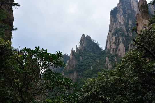 黃山