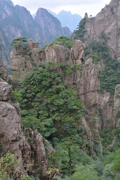黃山奇峰怪石