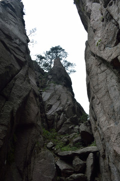 黃山