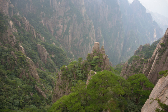 黃山