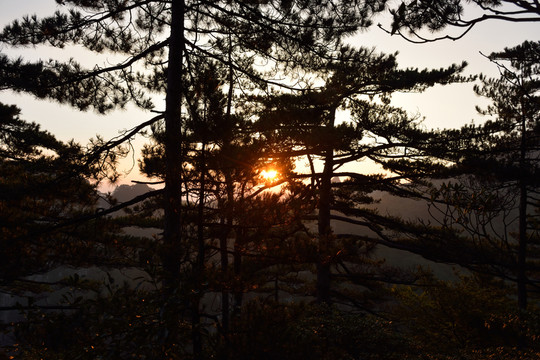 黃山日出