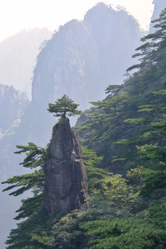 黃山風(fēng)光