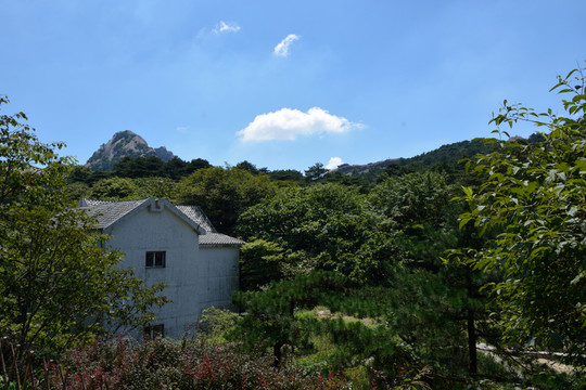 黃山風(fēng)光