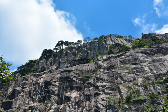 黃山