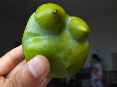 怪異柿子