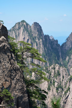 黃山