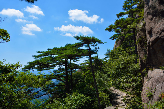 黃山