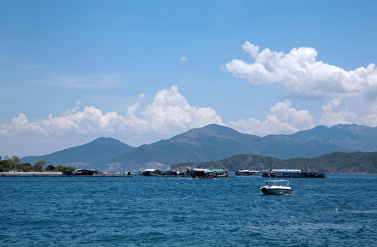 大海