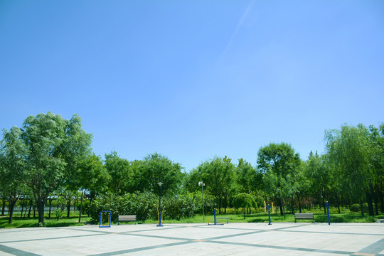 綠樹(shù)藍(lán)天