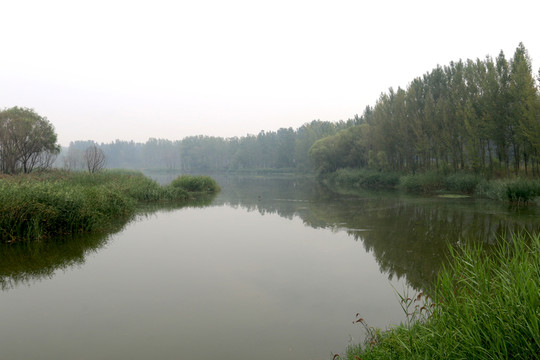 靜靜的河水