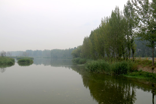 河岸