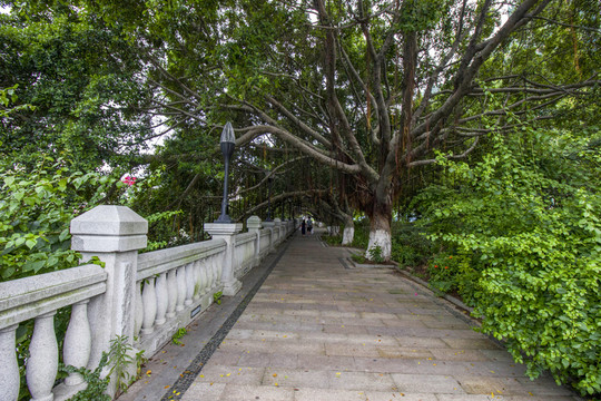 廣東省中山市西堤路休閑步道