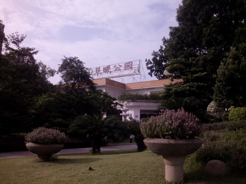 公園花草