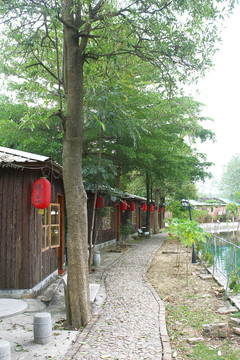 森林小路
