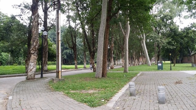 中山大學校園