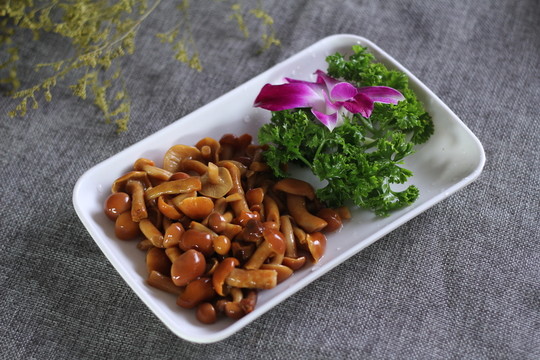 滑子菇