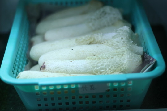 竹蓀
