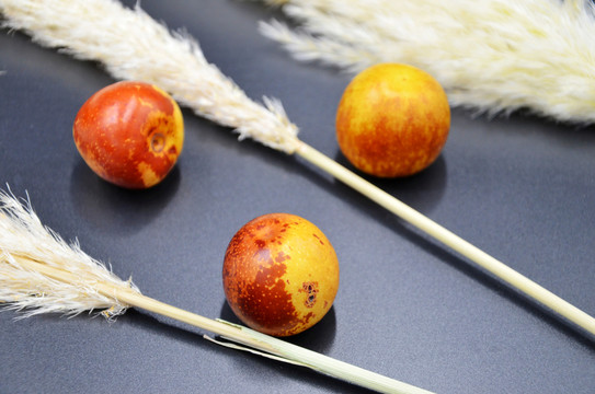 冬棗 蘆葦 三粒冬棗