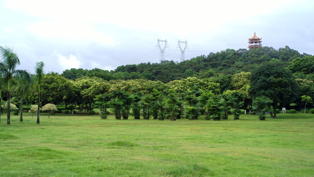 公園草地