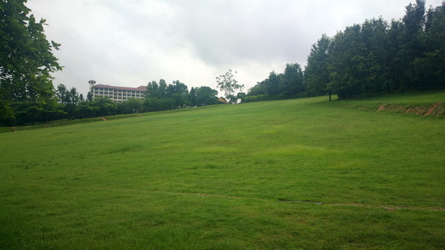 屋后草地