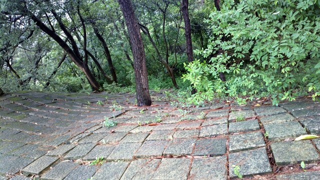 石板鋪路