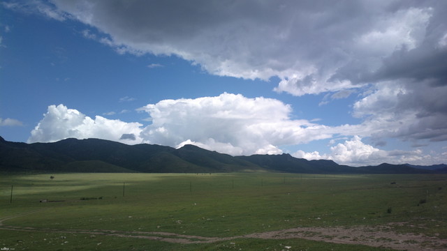 開闊的牧場